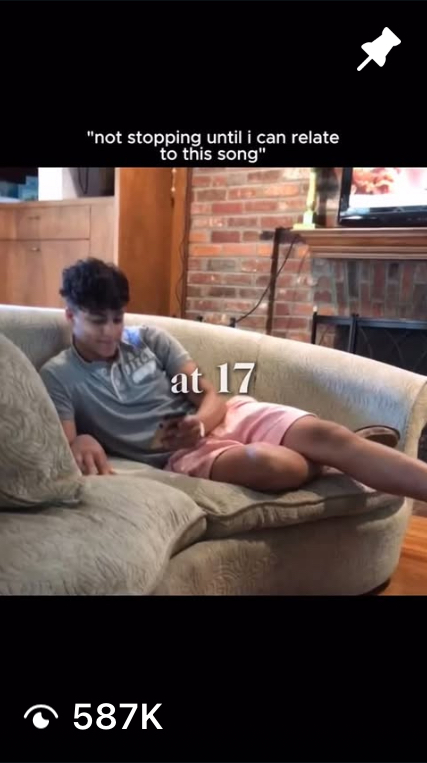 Fareed TikTok video, 587K views